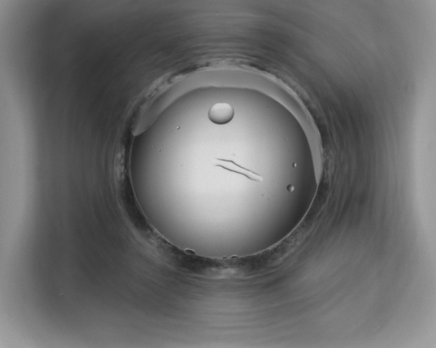 X0000113140356200909110939