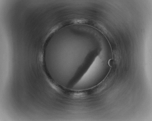 X0000113140357200909110939