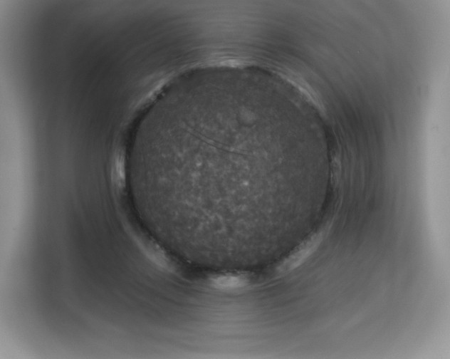 X0000113140358200909110939