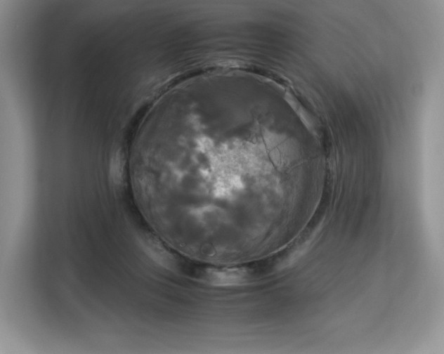 X0000113140359200909110939