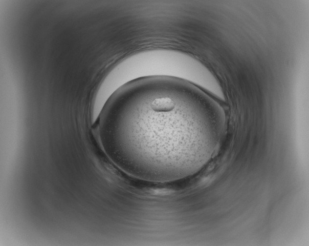 X0000113140360200909110939