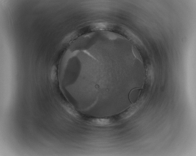 X0000113140361200909110939