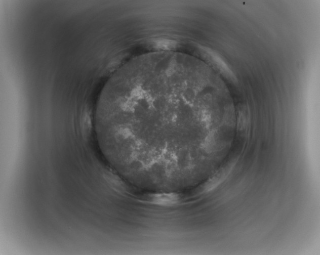 X0000113140363200909110939