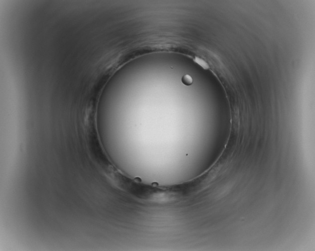 X0000113140364200909110939