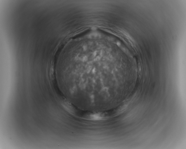 X0000113140365200909110939