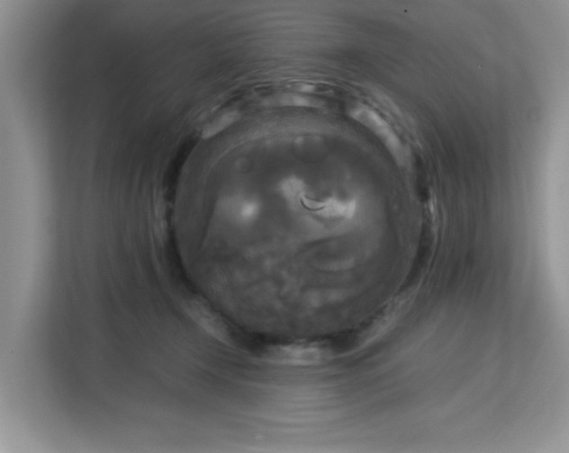 X0000113140366200909110939