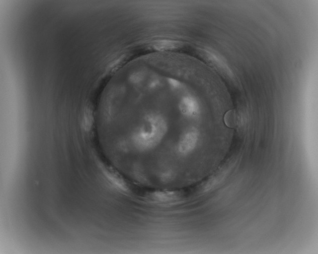 X0000113140367200909110939