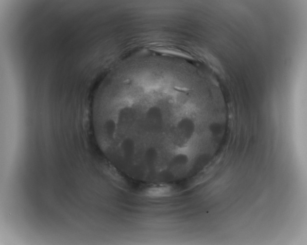 X0000113140369200909110939