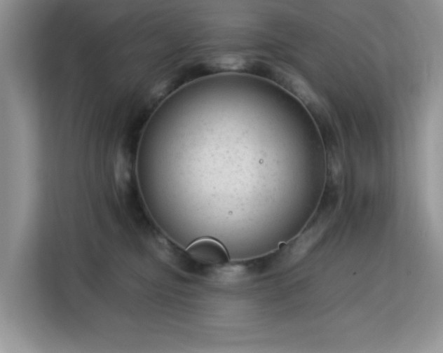 X0000113140374200909110939