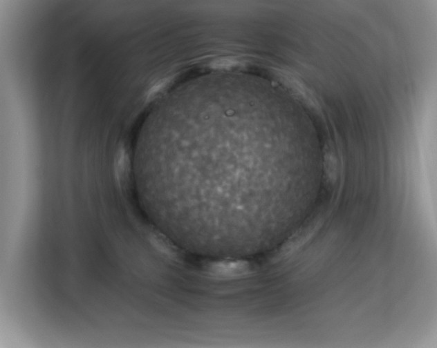 X0000113140375200909110939