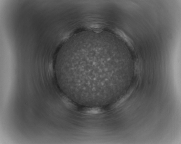 X0000113140377200909110939