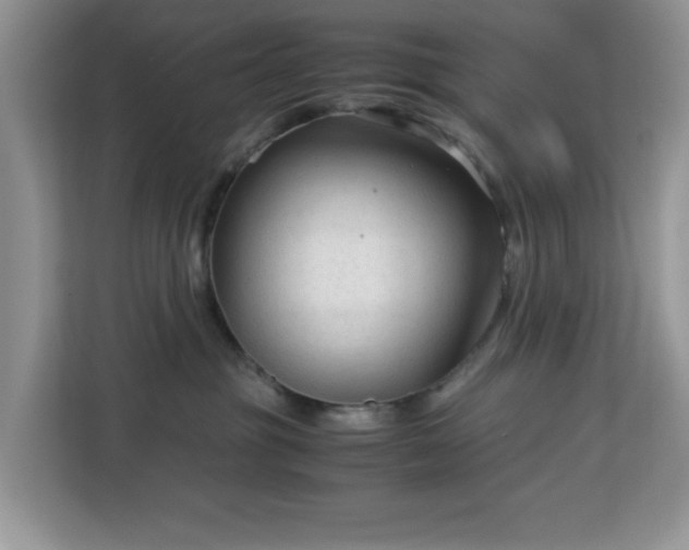 X0000113140381200909110939