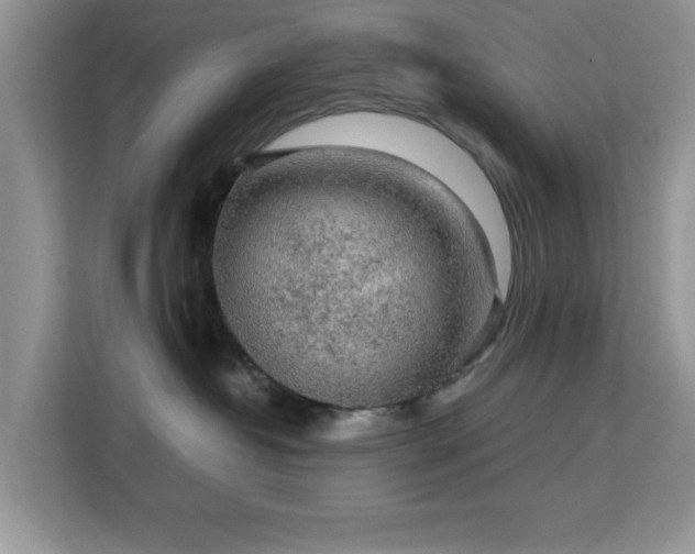 X0000113140382200909110939