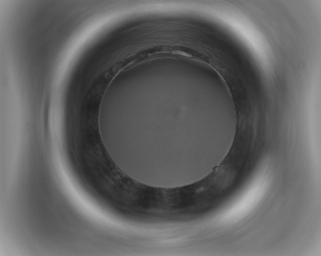 X0000113140383200909110939