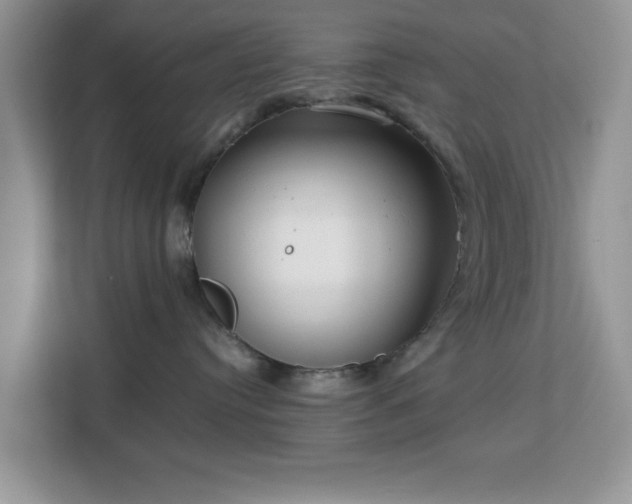 X0000113140384200909110939