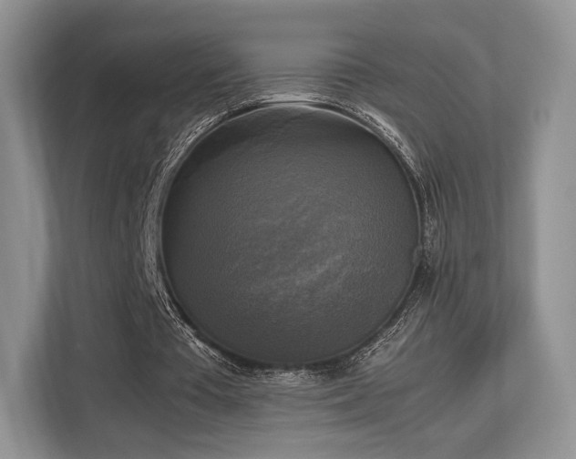 X0000113140385200909110938