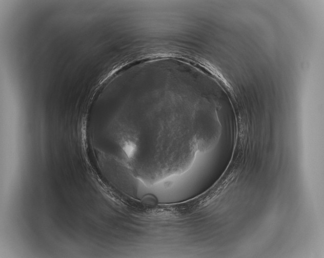 X0000113140386200909110938