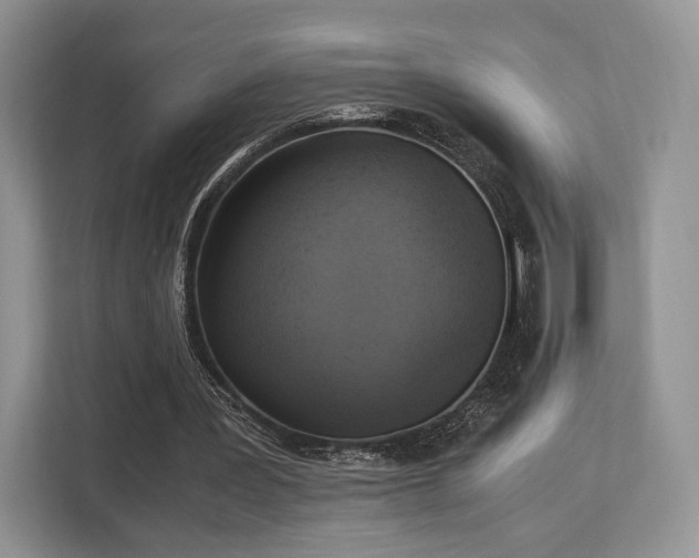 X0000113140387200909110938