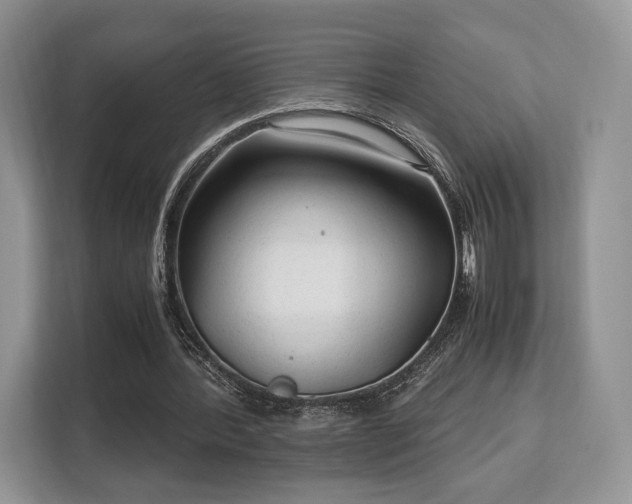 X0000113140388200909110938