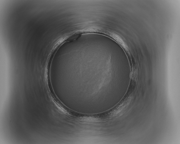 X0000113140389200909110938