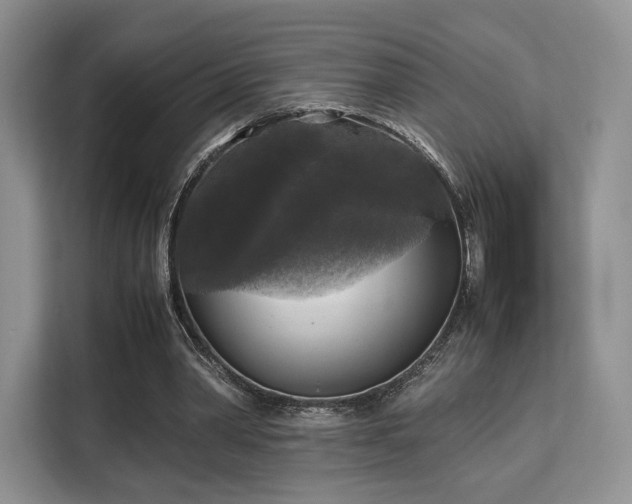 X0000113140390200909110938