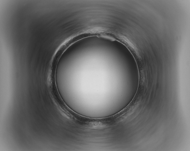 X0000113140392200909110938