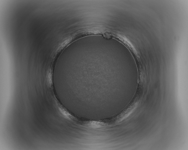 X0000113140393200909110938