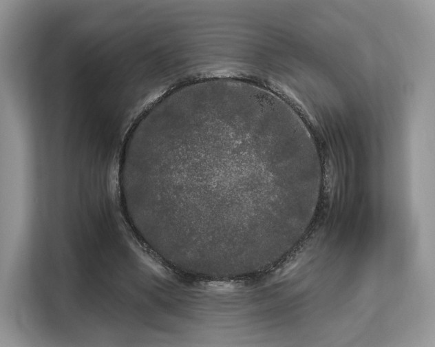 X0000113140394200909110938