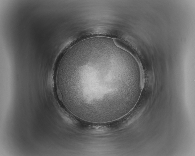 X0000113140395200909110938