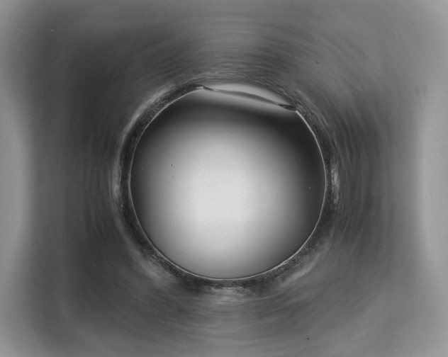 X0000113140396200909110938