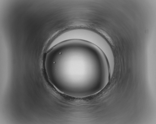 X0000113140399200909110938