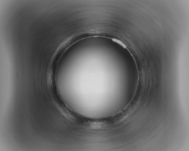 X0000113140400200909110938