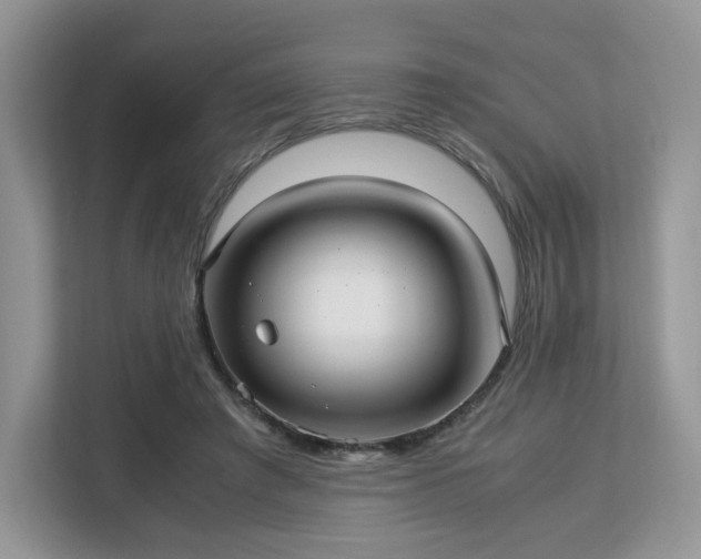 X0000113140401200909110938