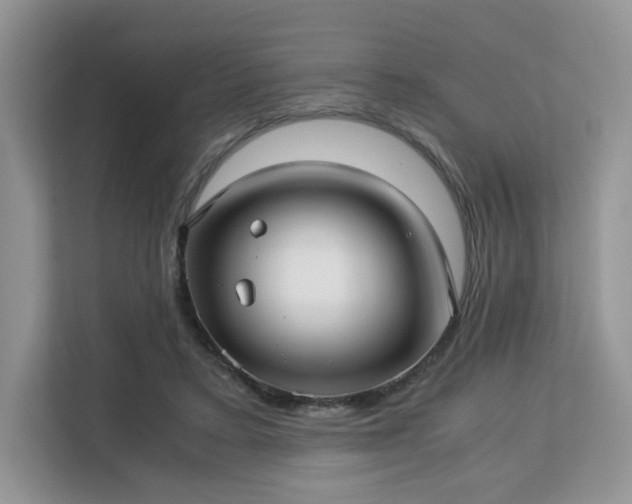 X0000113140403200909110938