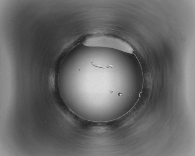 X0000113140404200909110938