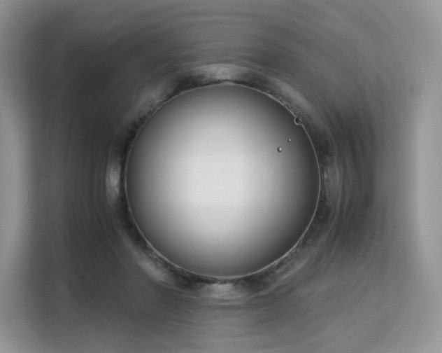 X0000113140406200909110938