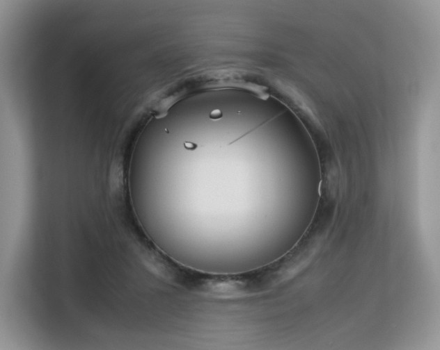 X0000113140407200909110938