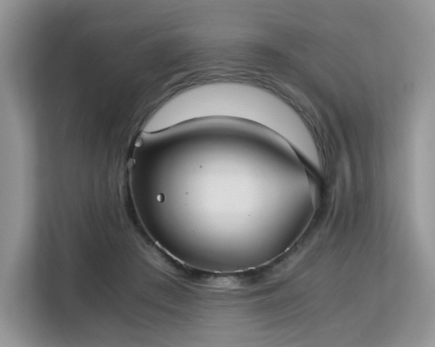 X0000113140409200909110938