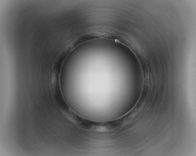 X0000113140412200909110938