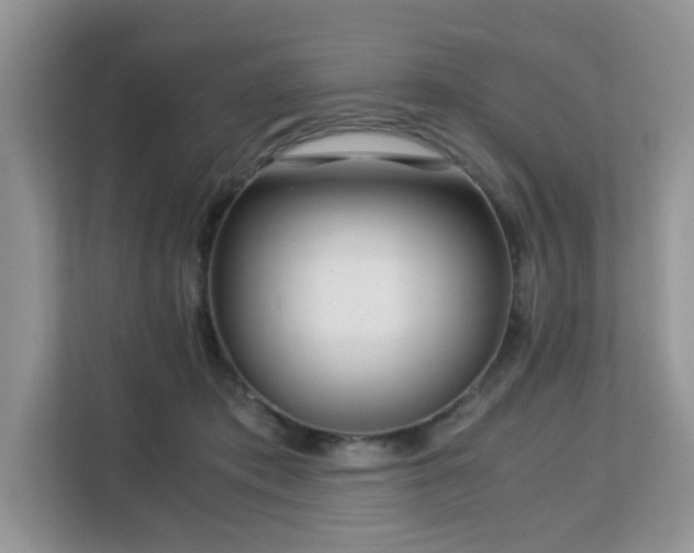 X0000113140413200909110938