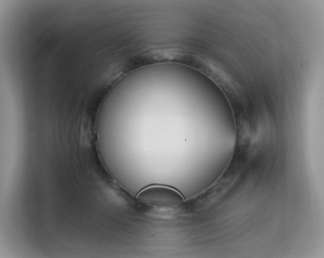 X0000113140414200909110938