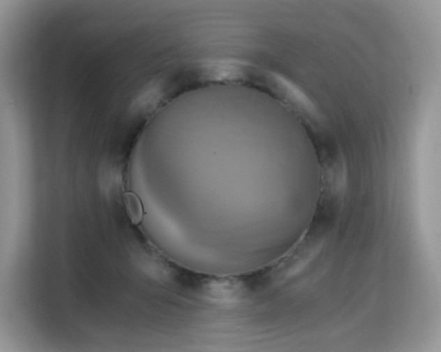 X0000113140415200909110938