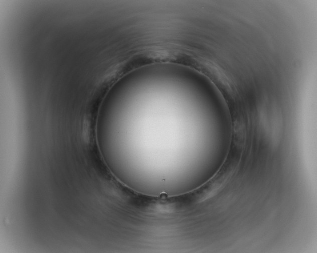 X0000113140416200909110938