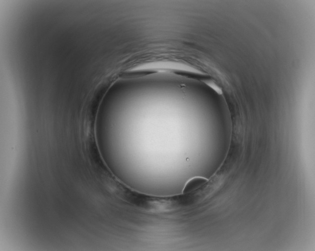 X0000113140417200909110938