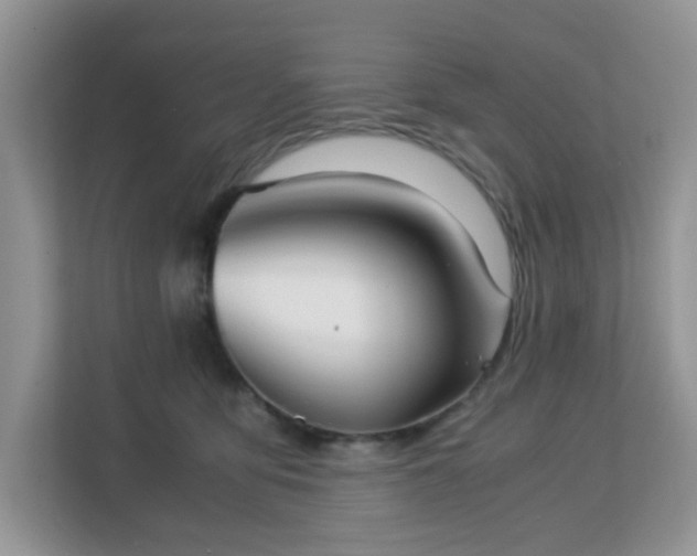 X0000113140419200909110938