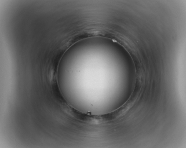 X0000113140420200909110938