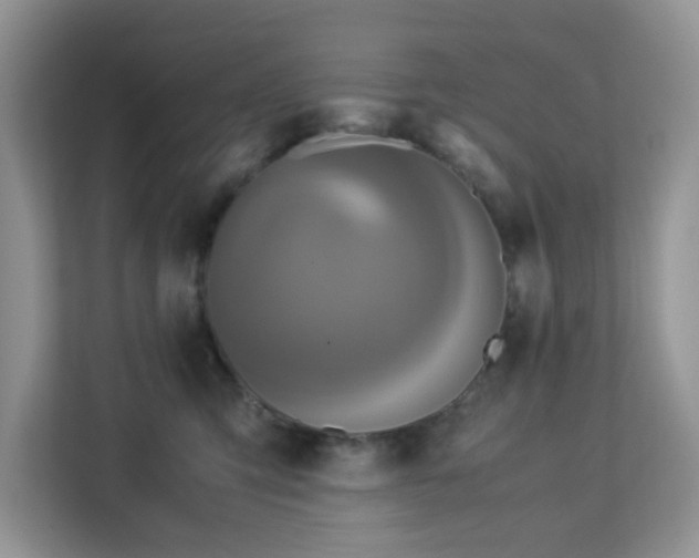 X0000113140423200909110938