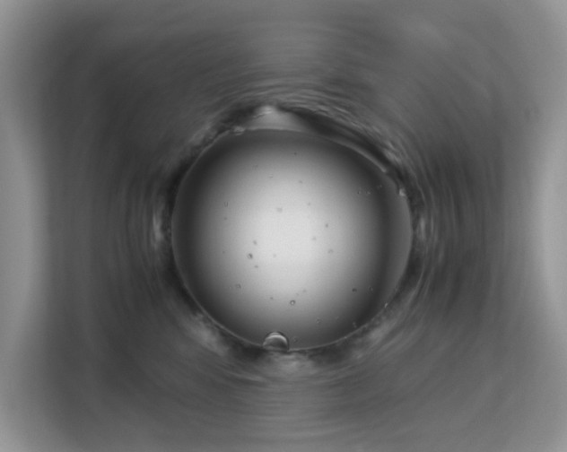 X0000113140424200909110938