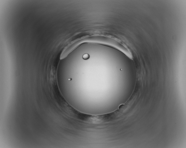 X0000113140425200909110938