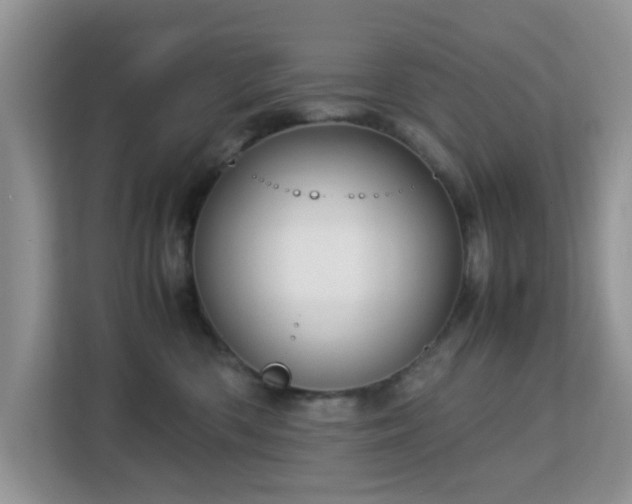 X0000113140426200909110938